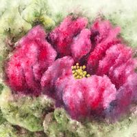 I know what you want to tell me 31.5x31.5