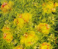 Positive energy 39.4x47.2