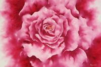 Searching for her site 23.6x35.4