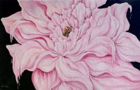 You caress me 25.6x39.4